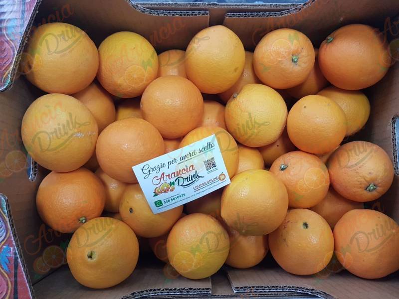 Pacco misto Arance Navel Mangia e Bevi