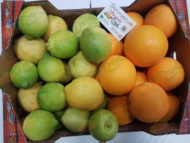 Pacco Misto Arance Tarocco Gallo da Tavola e Limoni