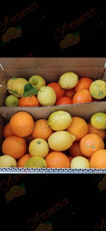 Pacco Misto Arance Tarocco Gallo da Spremuta e Limoni (Solo Estero) FRANCIA GERMANIA OLANDA BELGIO